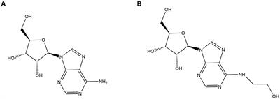 Exploiting the roles of nitrogen sources for HEA increment in Cordyceps cicadae